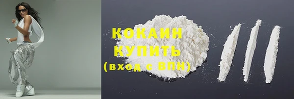 шишки Богородск